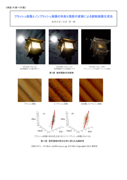 フラッシュ画像とノンフラッシュ画像の色彩と陰影の変換による鮮鋭画像