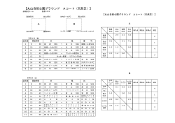 【丸山自然公園グラウンド Aコート（天然芝）】