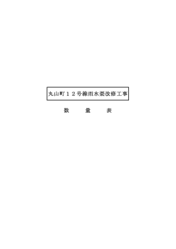 丸山町12号線雨水渠改修工事 数 量 表