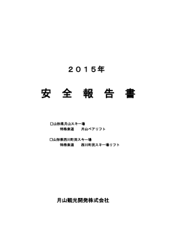 2015安全報告書