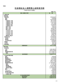 財産目録（PDF形式）