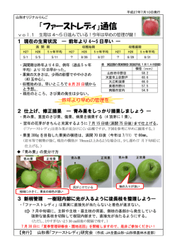 ファーストレディ通信Vol1(H27.7.10) 446kb