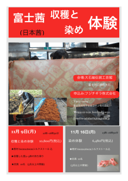 茜 収穫と染めpf.27-1