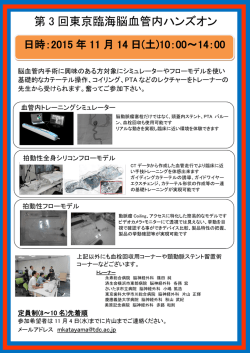 第 3 回東京臨海脳血管内ハンズオン