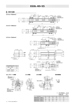 EGSL-BS-55