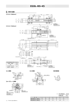 EGSL-BS-45