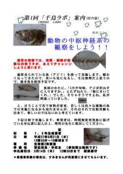 動物の中枢神経系の 観察をしよう！！