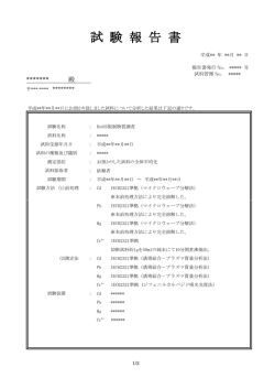 試 験 報 告 書