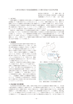 8.土砂災害地区の斜面崩壊調査と石積み斜面の安定性評価