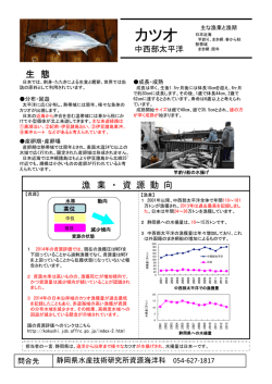 カツオ - 静岡県/水産技術研究所