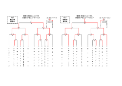 優勝：四谷フェニックス 優勝：四谷フェニックス H27 H27