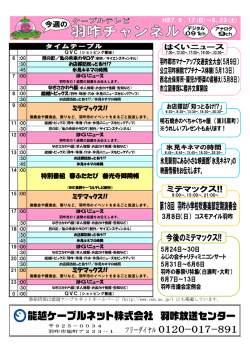 ミテマックス!! ミテマックス!! 特別番組 春ふたたび