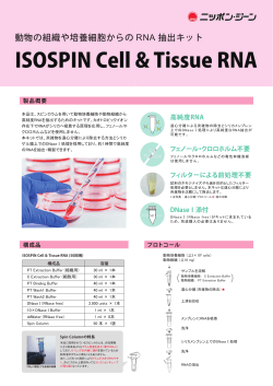 ISOSPIN Cell & Tissue RNAパンフレット（PDF 2.3MB）