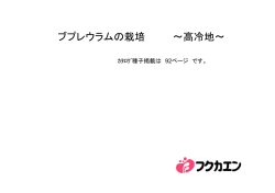 ブプレウラムの栽培 ～高冷地～
