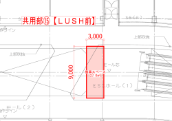 共用部⑮【LUSH前】