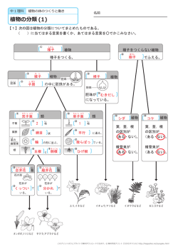 このページの答えのプリント 全部