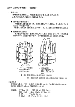 土づく りについて学ぼう ~施肥編~ ー 施肥とは 「作物生育を良好にし