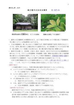 森の樹木の生きる場所 青森県岩崎村・武 甕 槌 森林には広葉樹林と