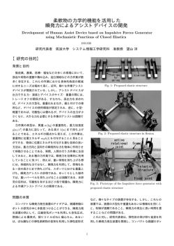 柔軟物の力学的機能を活用した 瞬発力によるアシストデバイスの開発