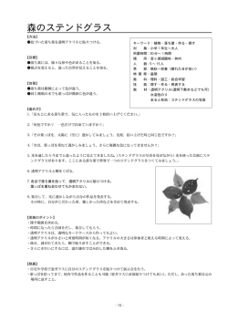 森のステンドグラス