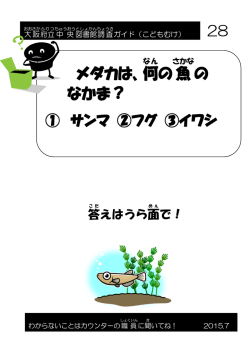 メダカは、何 の魚 の なかま？