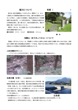 桜川について 名前（ ）