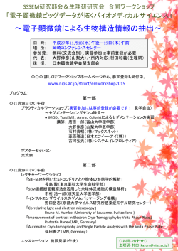 ～電子顕微鏡による生物構造情報の抽出～ - FIB-SEM, SBF