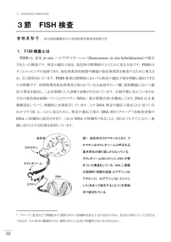 染色体遺伝子検査の分かりやすい説明ガイドラインⅡ