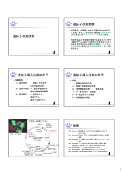 遺伝子改変技術 遺伝子改変動物 遺伝子導入技術の利用 遺伝子導入
