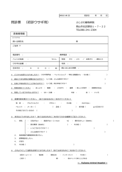 問診票 （初診ウサギ用）
