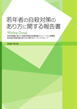 第 3 章 総論 ～若年者の危機と保護的要因