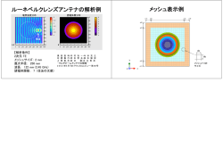 ルーネベルクレンズアンテナの解析例 メッシュ表示例