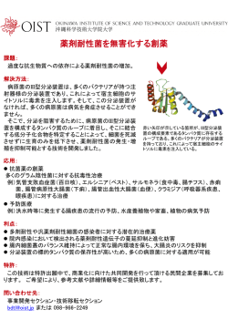 薬剤耐性菌を無害化する創薬