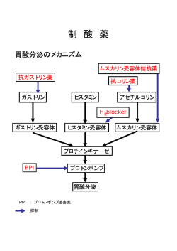 制 酸 薬