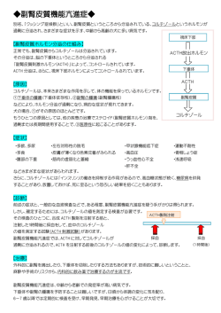 副腎皮質機能亢進症
