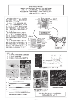 獣医解剖学