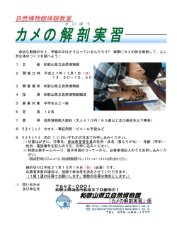 カメの解剖実習 - 和歌山県立自然博物館