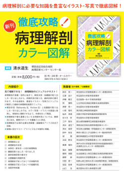 誌面サンプルつきチラシ（PDF）をダウンロードする