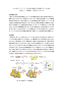Au NPs/C アノード－Pd(NHC)触媒による炭酸ジフェニル合成