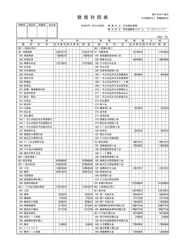 貸借対照表 - 社会福祉法人 愛鍼福祉会