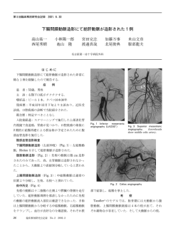 下腸間膜動脈造影にて総肝動脈が造影された  例