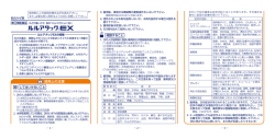 ルルアタックEX 添付文書