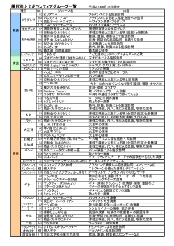 項目別 ボランティアグループ一覧表（PDF）