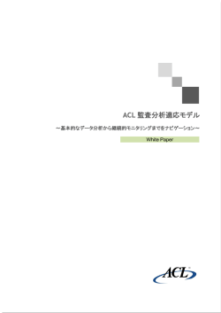 ACL 監査分析適応モデル - データ監査ツール ACL