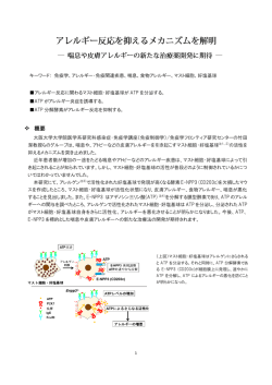 概要 - 大阪大学免疫学フロンティア研究センター