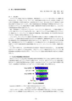 8．新しい電池技術の研究開発 電気・電子情報工学系 教授 櫻井 庸司