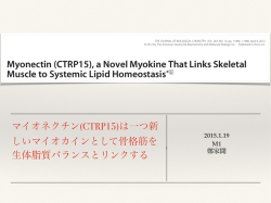 マイオネクチン(CTRP15)は一つ新 しいマイオカインとして骨格筋を 生体