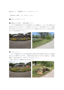 2015 年 7 月 「花畑視野について」138タワーパーク 「国営木曽三川公園