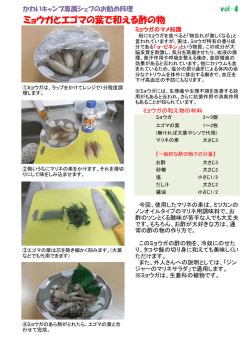 ミョウガとエゴマの葉で和える酢の物