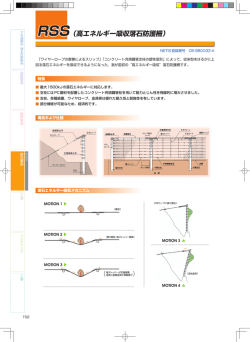RSS（高エネルギー吸収落石防護柵）